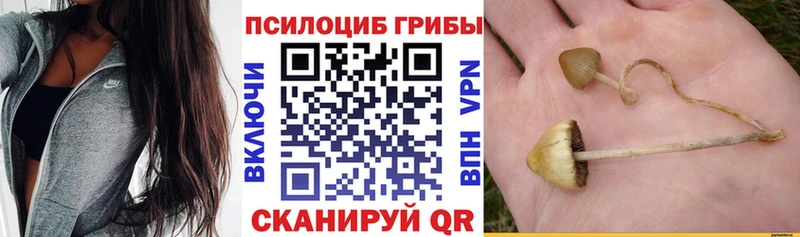 Псилоцибиновые грибы мухоморы  цена   Белебей 